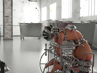 1629 bdsm porn videos